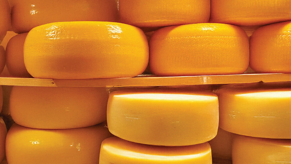 Cheese wheel storage
